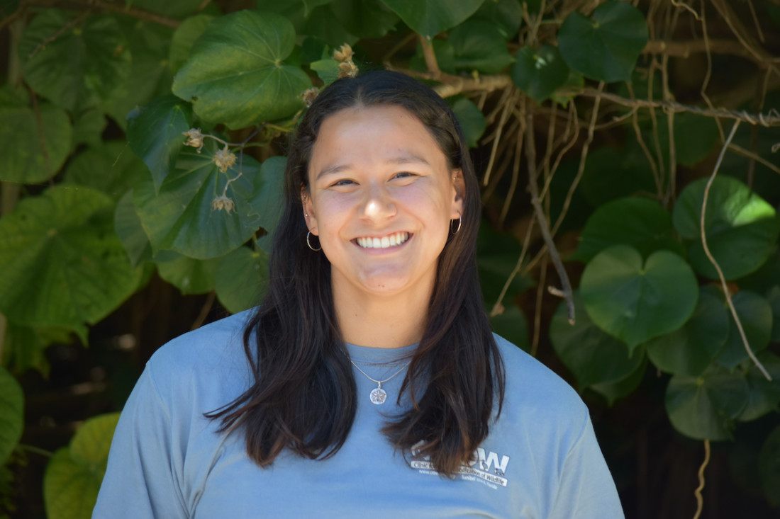 CROW welcomes education, marketing intern